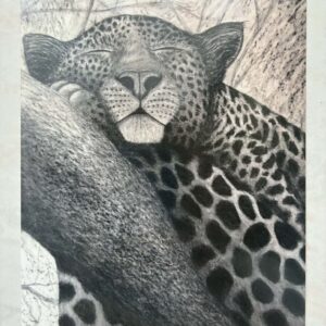 Handgezeichnetes Leopard-Bild – von Tobisart80